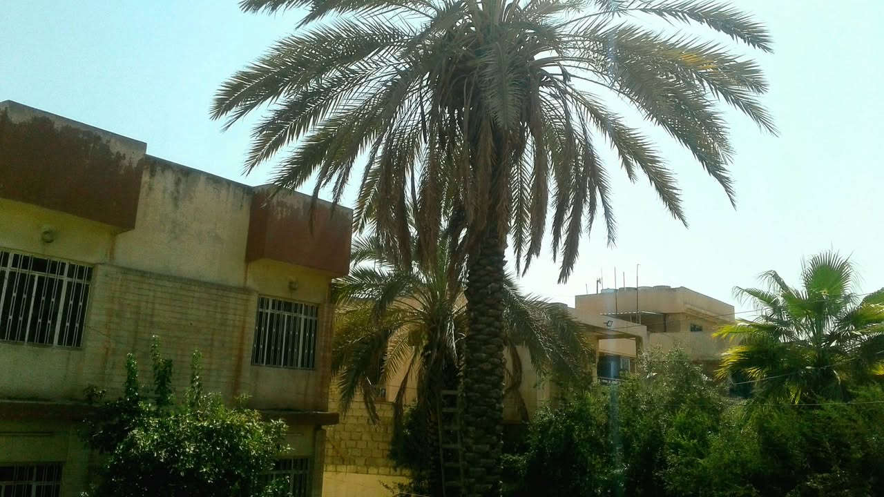 🚨🚨🚨 انتبه‼️ إعلان نادر… موقع قوي… مواصفات ما تتكرر 🚨🚨🚨
🔥 بيت للإيجار – فرصة حقيقية للي يعرف يختار 🔥
🏠 بيت للإيجار
📐 المساحة: 600 متر كامل
📏 الطول: 30 متر
🏢 طابقين عمليين
🚿 صحيات كاملة بالطابقين
🛏️ الغرف بالنص بالطابقين
🔢 عدد الغرف: 8 غرف
💎 منها 2 غرف كبيرة جداً (نادرة بهيج مساحة)
🎨 المنزل يحتاج شوية صبغ وتبديل مجاري فقط
👨‍👩‍👧‍👦 جاهز لسكن عائلة
📍 قريب جداً على الشارع – موقع يخدم السكن والعمل
⚡ يصلح بقوة لـ:
🏡 سكن عائلة كبيرة
🏫 مدرسة أو روضة
🏢 مكتب أو عدة مكاتب
🧠 استشارات
📦 مخزن
💰 السعر المفاجأة:
🔥 مليون ونص بالشهر فقط 🔥
🤝 وفوقها مجال بعد للتساهل ويا الطيبين والجادين
💼 الدلالية (للإيجار فقط):
💵 150,000 دينار فقط – مئة وخمسين ألف فقط
📞 للتواصل فوراً قبل ما يروح:
👤 تمرُلماء للعقار
مندوب / مكتب مدينة الموصل للعقار
💬 ماسنجر: تمرُلماء للتسوق
📱 واتساب: ***********
☎️ اتصال مباشر: ***********
🚀 هيج فرصة ما تنتظر
⏳ اللي يشوف ويأخر… غيره يأجر قبله
📢 اتصل الآن وخذها قبل ما تنشال من السوق
