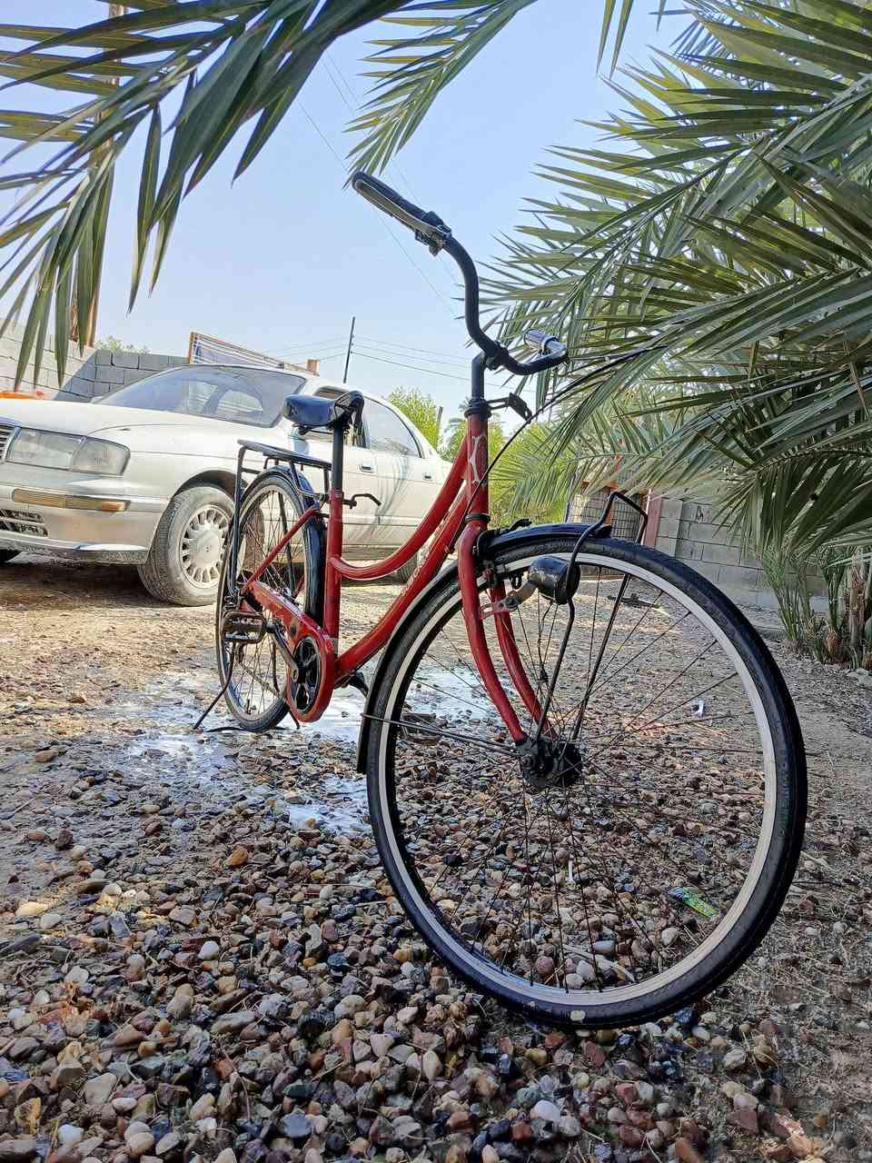 السلام عليكم بايسكل للبيع ياباني موديل 16
بريك خلفي جديد 

سيم ويل خلفي جديد

زنجيل جديد

مكينة جديدة

سرج (كشن) جديد 

مداكر جدد بس عادي مو اصلي 

مولد شغالة شرط الفحص 

عنوان البصرة قضاء الهارثة 

تواصل واتساب ***********
