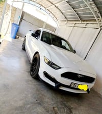 موستنك • ٢٠١٥ • حادث