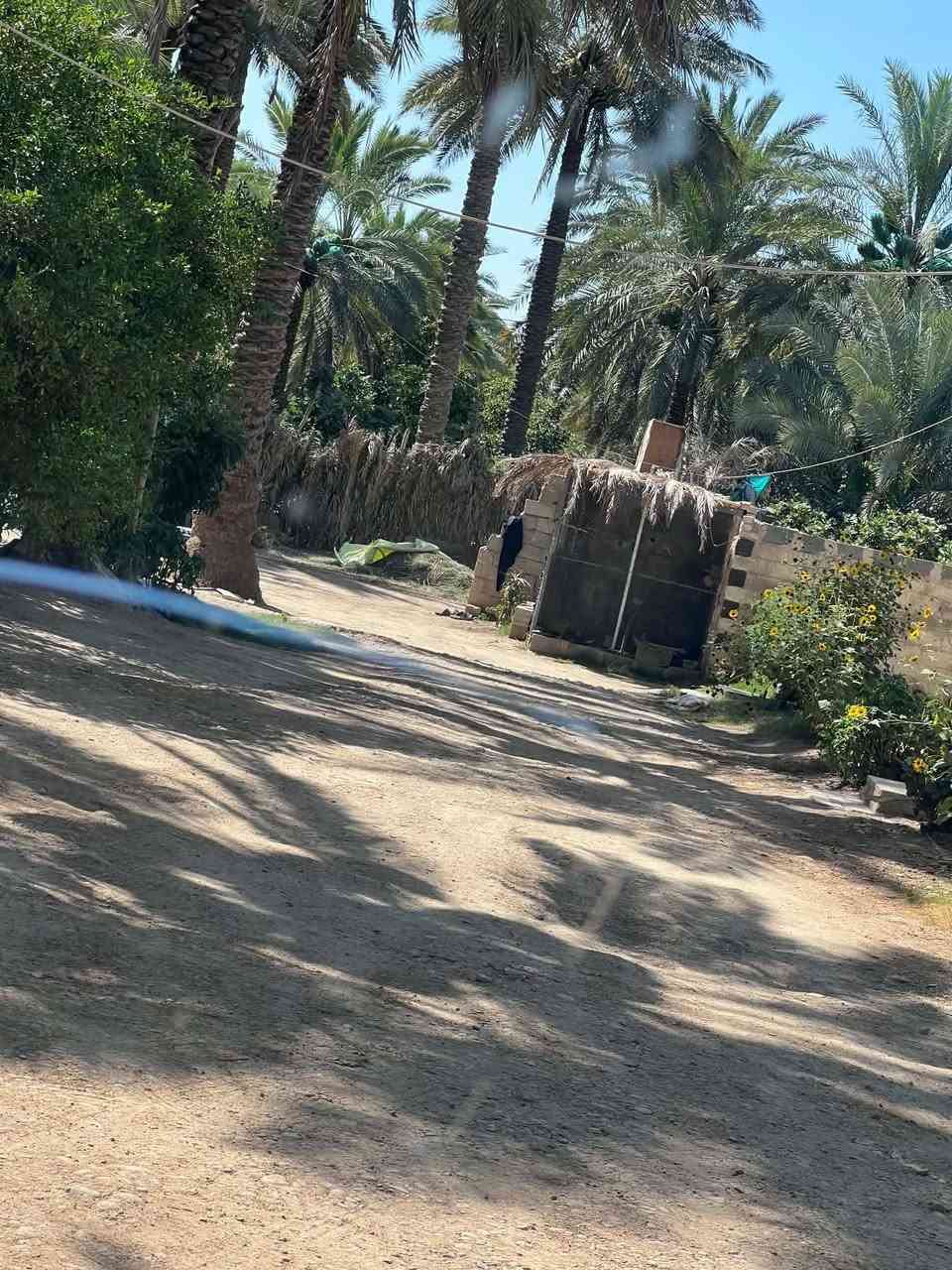 السلام عليكم ارض زراعيه المساحه ١٦ دونم طابو سند 25 تحويل مباشر حصه مائيه صيف شتاء كهرباء اساله مدارس متوسطة وابتدائيه مع دار سكن مع حقل عجول تبعد عن دجله ٥٠٠متر وجها تبليط تبعد عن مركز المدينه 5 دقايق مكانها الصويره الجوز الشرقي السعر الكلي ٤٠٠ مليون دينار وبيها مجال ***********
