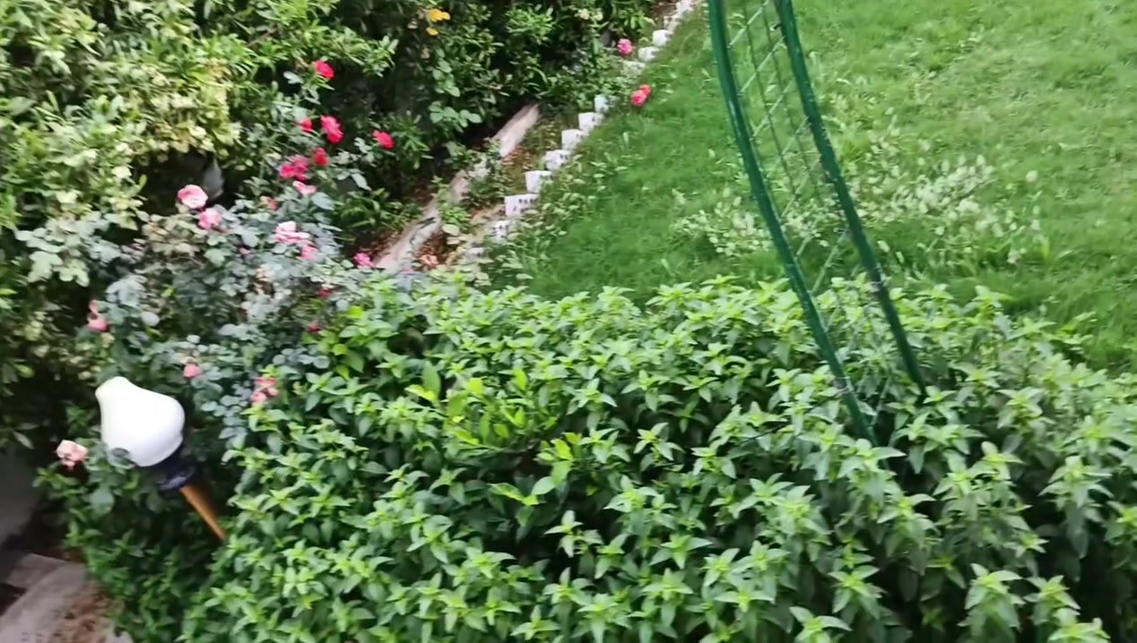 دار للايجار على شكل مزرعه كلش مرتب غرفه ومطبخ وهول وصحيات داخل وخارج المكان سايدين بنجه علي قرب شقق بنجه علي ثالث بيت على الشارع الرئيسي كهرباء وماءحلو متسمر  ومولد وبي حته مبردات وسنك مع مرجوحه وكامرات وبلاجكتورات طاقه شمسيه واضويه فول قمة الجمال وبي قمريه خارجيه لسياره منطقه  ايجار ٢٠٠ التصال ***********
