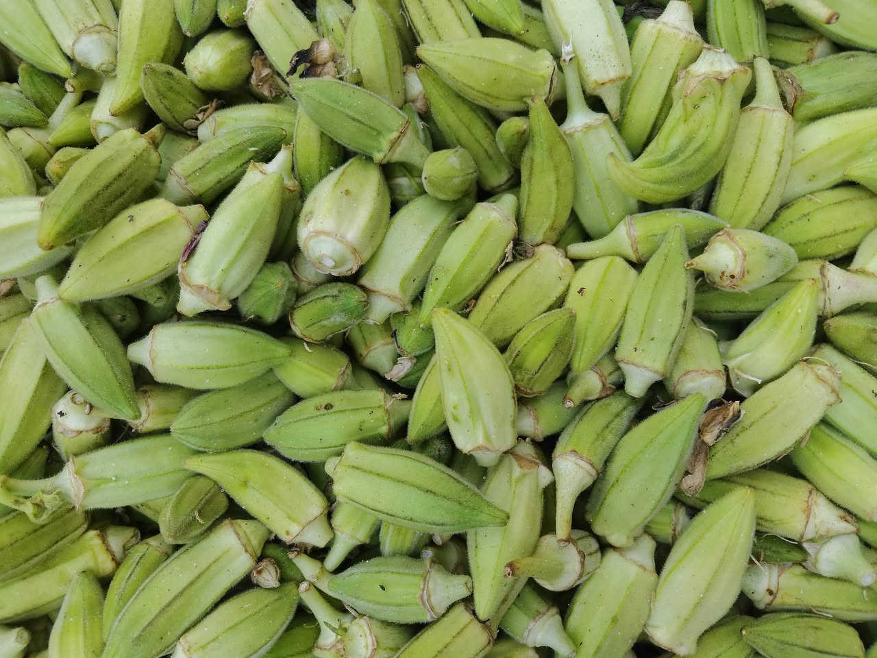السلام عليكم توفرت الباميه خظره وتازه كيلو الفين ونص  ومنظف ومكيس كيلو 3000 للحجز ادخل خاص يوجد لدينا توصيل جميع مناطق كركوك


**إذا كنت صاحب هذا الإعلان وتريد حذفه لأي سبب، رجاءا أرسل رسالة إلى الدعم الفني**