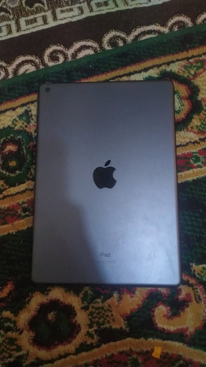 السلام عليكم عندي ايباد 9️⃣ ذكره ٦٤ بعده بل ضمان مال شركه الايباد جديد ما داخل صيانه صارله 5️⃣ اشهر من مفتوح من الكرتون لبيع السعر خاص او مراوس بتلفون ايفون ١١برو او عادي مكاني حله شارع ٨٠


**إذا كنت صاحب هذا الإعلان وتريد حذفه لأي سبب، رجاءا أرسل رسالة إلى الدعم الفني**