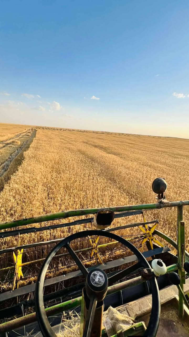 دراسه للبيع رقم نينوى محرك شرط دراسه مال جناي موديل 79  .... السعر 13 مليون رقم هاتف ‏‪***********‬‏ واتساب
