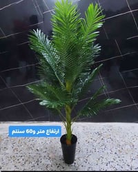 ديكور • حديقة