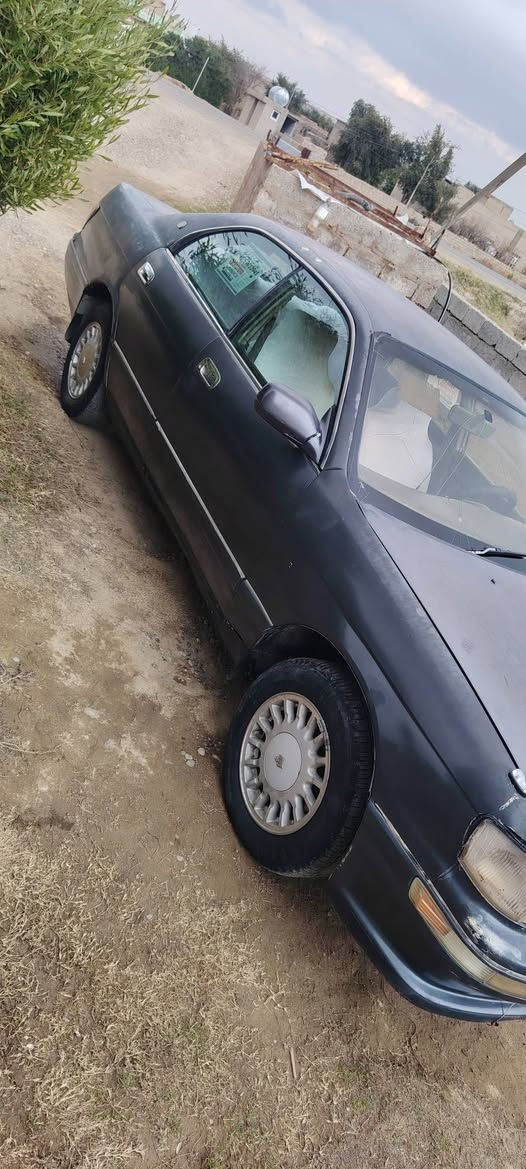 السلام عليكم بطه للبيع او مراوس  تفاصيل اكثر اتصل على رقم *********** شرط التحويل
