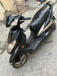 سكنس فحل • كوري • خطين