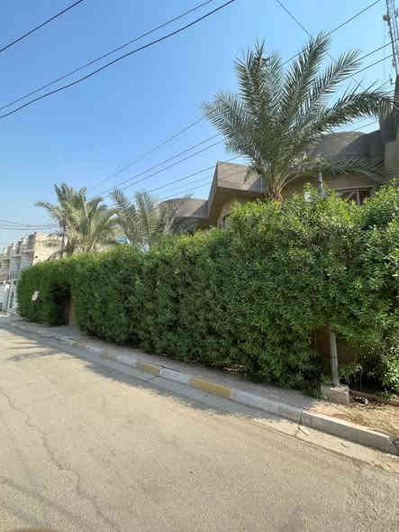 🔹للبيع بيت سكني جاهز 🔹
📍الموقع [البلديات-اليوان-المربع الذهبي]

🏠المساحة[300متر+تشجير جانبي100متر]

📐الواجهة والنزال[20x15]

🛏️عدد الغرف[7غرف نوم]

🛁عدد الحمامات[5]

✅طابو صرف/سند ملك صرف

💲[ سعر المتر ٣ مليون قابل للتفاوض] 

📞للاستفسار 
        [***********]

⭕️نحترم رأيك بس نتمنى ان تكون التعليقات بروح طيبة واحترام 
اذا ماعجبك الشي بكل بساطة تجاهلة
