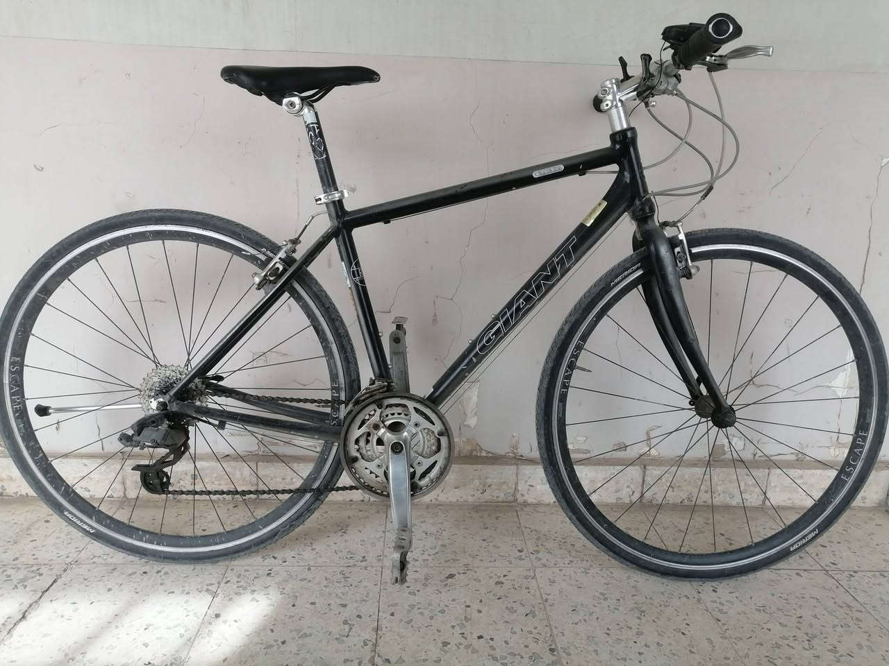 جاينت سكيب R3
سستم شيمانو كله بالكامل
دشلي خلفي 8 أمامي 3
كل قطعه بي جاينت
190
مكاني بغداد


**إذا كنت صاحب هذا الإعلان وتريد حذفه لأي سبب، رجاءا أرسل رسالة إلى الدعم الفني**