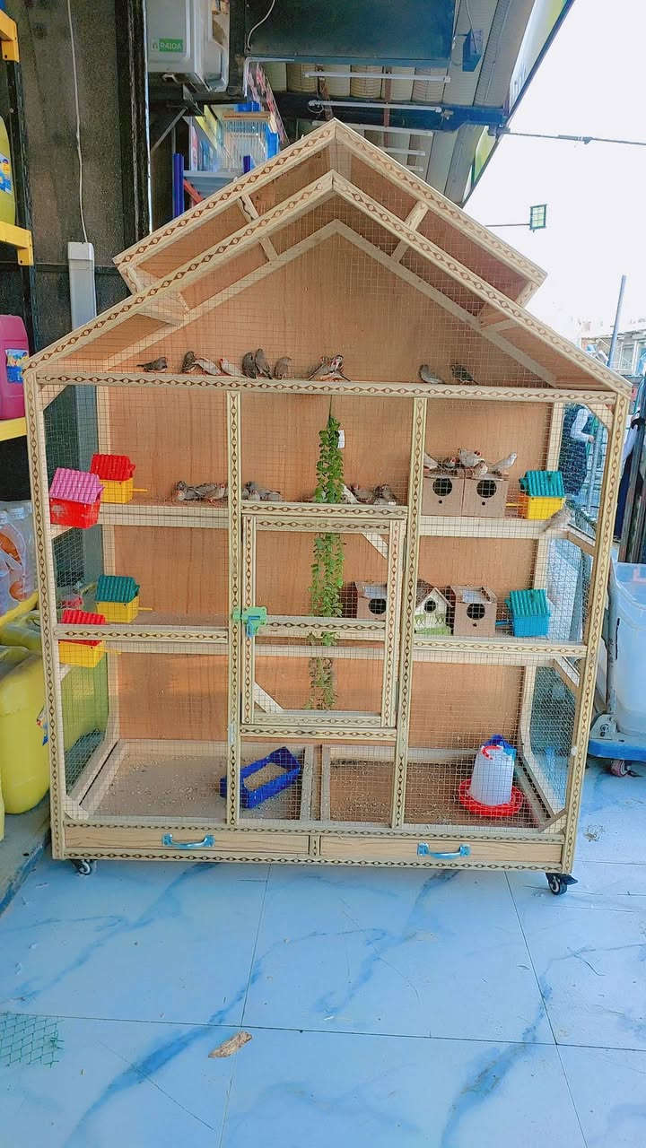 متاح قفص فقط المكان ميسان ابرمانة *********** بس القفص ينباع فقط
