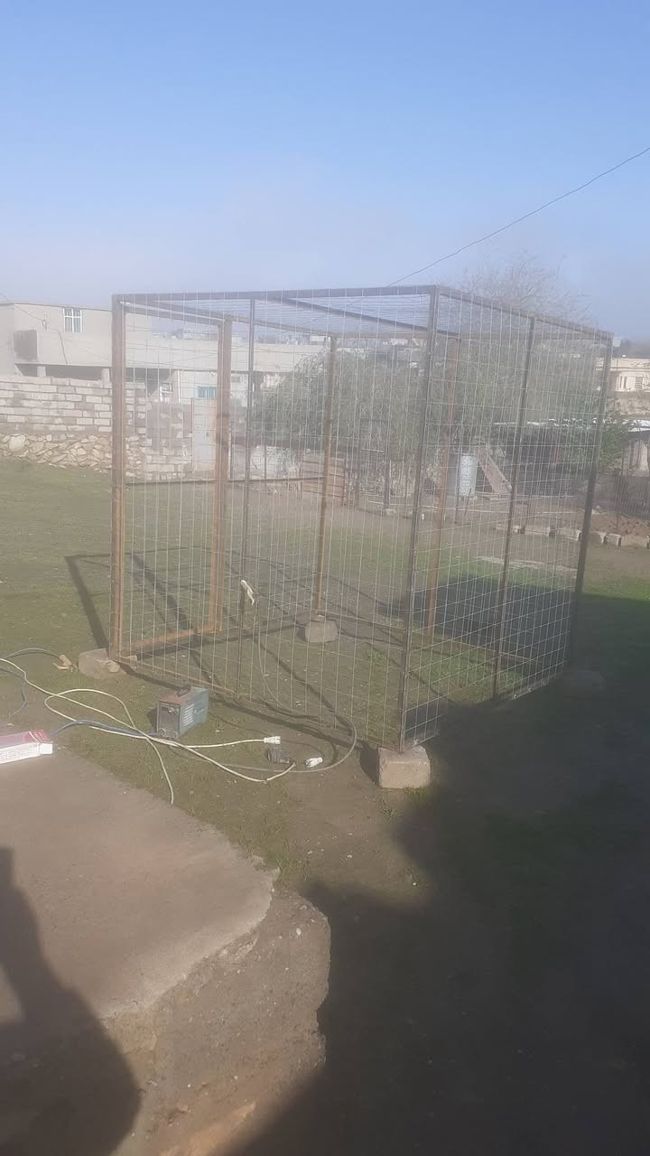 السلام عليكم قفص للبيع فصال الطول ٢م والعرض ٢م والارتفاع ٢م الإطار حديد بوري مربع انج وربع القواطع زاوية انج وربع خفيف الهسكو الفتحة ٩سم والسلك ٣ملم. ***********
