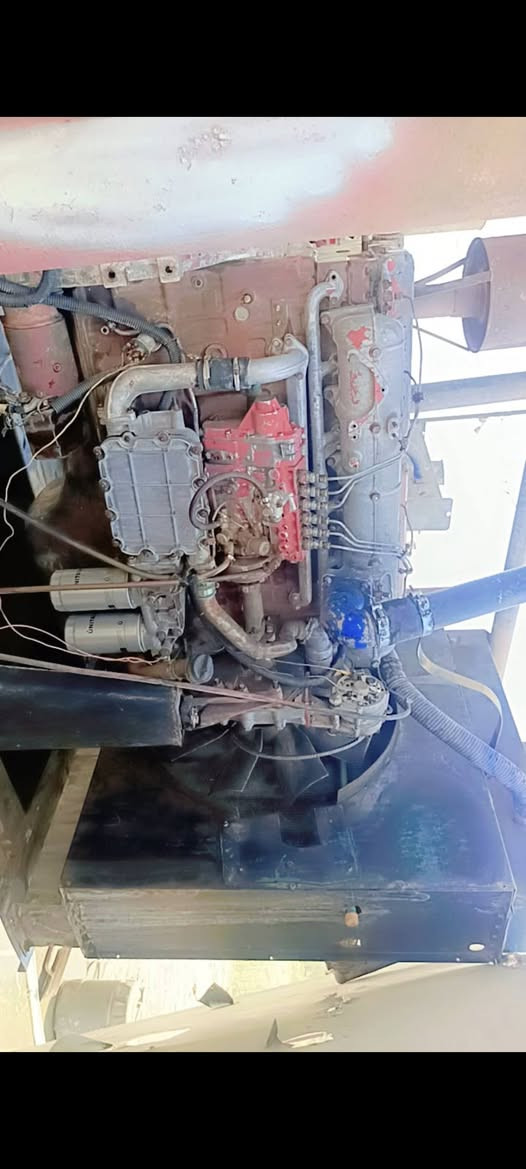 افيكو للبيع راس توليد250   العنوان فلوجه للستفسار
***********
