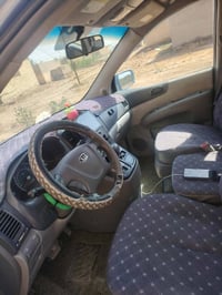 كرنفال ٢٠٠٧ • وارد امريكي • صبغ حزام