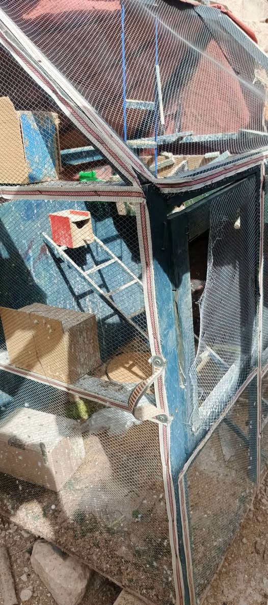 السلام عليكم قفص للبيع كامل ويا الخانات قفله 50 الف مكان راوه توصيل داخل راوه فقط الطوب متر ونص يطبع والعرض متر بي فقط اضرار شك جوه وشك فوك بكد جف ليد


**إذا كنت صاحب هذا الإعلان وتريد حذفه لأي سبب، رجاءا أرسل رسالة إلى الدعم الفني**