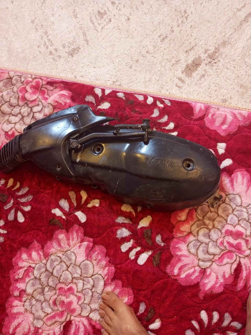 قبق كلجات مال سكنس قبق يخبل نضييف للبيع سعر 25 وابي مجال قليل مكاني بغداد شعب رقم *********** متواجد وتساب أو اتصل عل رقم
