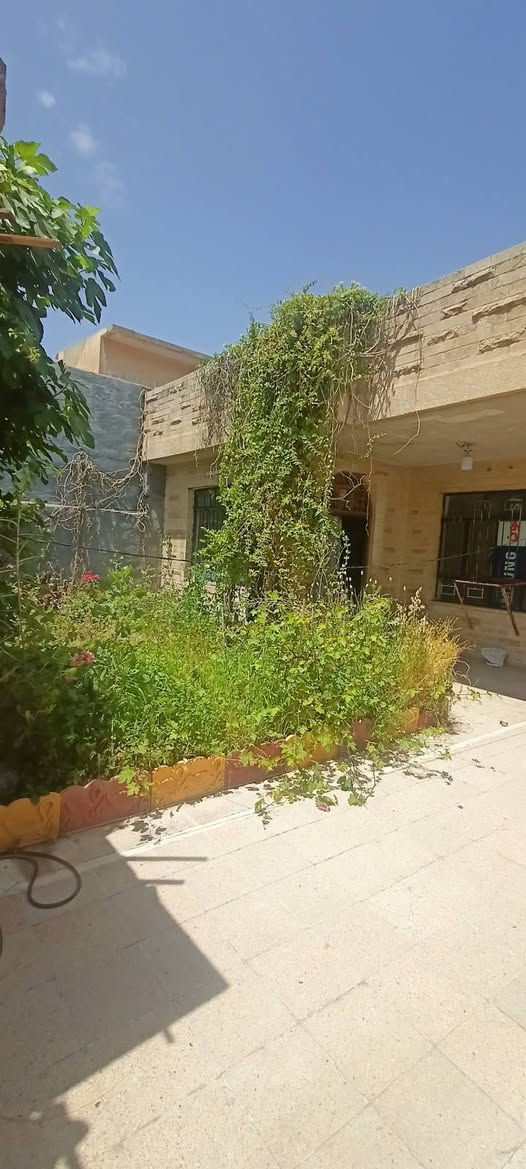 دار للايجار 🏫
حي الاخاء قرب محطة الاحمدي 
مساحة 300م 
ثلاثة غرف نوم وهول واستقبال ومشتملات 
الدار كاشي...
للاستفسار مراجعة مكتب المازن حي البكر شارع المنظمة قرب المركز 
او الاتصال على 📞☎️***********
