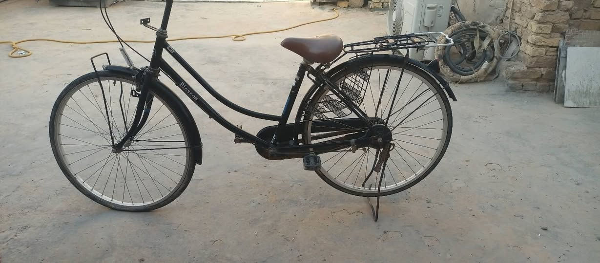 سلام عليكم باسكل لبيع جديد مابي اي شي محافضه النجف حولي مقابيل مدرست كميل ابن زياد باسكل عايزله بس غسل باسكل حجم 26 سعره 60 رقم ‏‪***********‬‏
