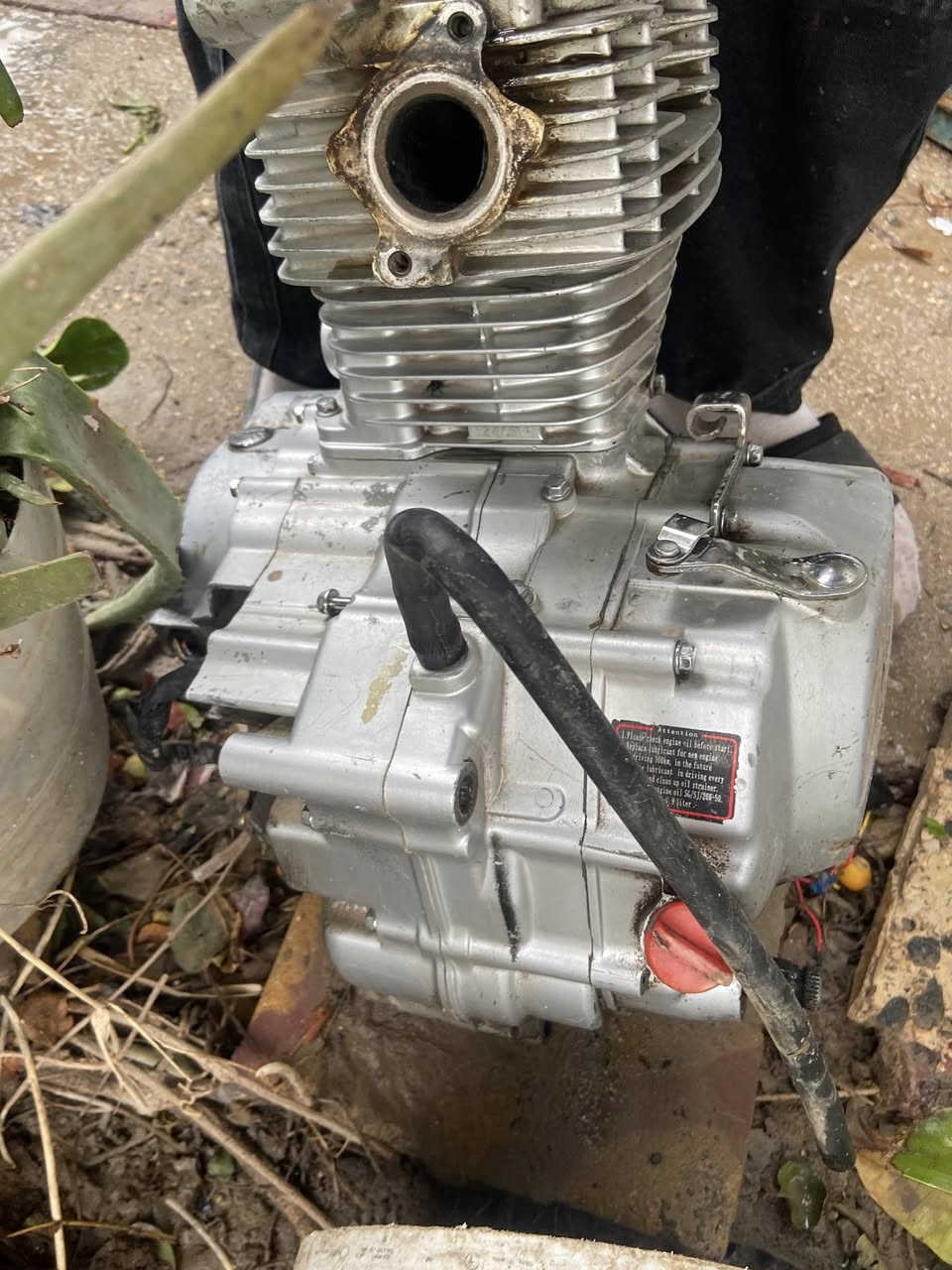 سلام عليكم محرك للبيع موديل ٢٠ معلك ولفات بس غيره كلشي مابي لبيع السعر خاصص


**إذا كنت صاحب هذا الإعلان وتريد حذفه لأي سبب، رجاءا أرسل رسالة إلى الدعم الفني**