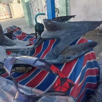 قطع غيار • ماكس • للبيع