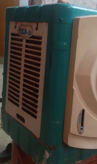 مبرده • صغير