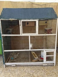 قفص • تكريت • رخصه الادمن