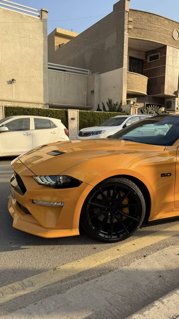 موستنك GT 2022 بريميوم فولل لل اخير
بجم كبس بدون ايرباك لون مميز برتقالي بلاك توب
قماره اسود بلادي اصل من وكال

 
مكينه (8سلندر) 5000cc
كير اوتو (10)نمر

السعر (270) شدتين و سبعين ورقه ورقه  وبيها مجال بسيط للشراي 
ماشيه(30)الف كيلو متر وليس ميل

مكان (بغداد-الحارثيه)
لون (برتقالي مميز) 
رقم تلفون *********** 

رقم اربيل الجديد فحص هزة جديد وسنويه باسمي تحويل ثاني يوم يعني ما تحير بصوت اكزوز لو وشومات لن هزة جديده
—————————————————————————
رقم شاصي(1FA6P8CF6N5118462)

سياره حادثها شبه كلين ركزلي على (ربع جاملغ صبغ) 
( ربع بنيد صبغ ما مفتوح براغي) تريد تعتبرها قطعه اعتبرها بس هيا ربع
وبل العراق بيها حادث بل جاملغ خلفي صبغ جاملغ نصه بدون تكم 
سياره راديتر وكالة مروحه وكالة ماي راديتر وكالة ما مبدل على وضع شركة حادثها سخيف كلش وصور حادث بل منشور   
وساحب تقرير  كار فاكس مالتها  بفلوس ايضاً ما بيها اي حادث مسبق ب امريكا او غرق الي يحب راسلني واتس اب ارسله تقرير 
   ————————————————————————

سياره كير مكينه اكسل كاردن صدرها بحالة الوكالة برغي ما مفتوح بيها بجم كبس البراكيته اماميه حتى ضربه مواصلتها 
سياره من دخلت حد الان مسويلها ادامة وصيانه كامله بشركة  فورد القاصد دهن  وفلتر دهن و فلاتر شوته و تبريد كلة وكالة اصلي
 دشبولها ماكو اي كلوب معتلك كله صافي 
—————————————————————————
نجي على مواصفات فول 1/1 ماعدا دجتال
١- تشغيل عن بعد
٢- شاشة كبيرة sync 3 كار بلي
٣-اكتف اكزوز حسب المود تفتح بوابات(نورمال-سبورت-تراك)
٤-فجوج بريمبو 6بستم
٦-دمام صوت بل صندوك وكالة
٧-تحديد مسار
٨-رادار امامي 
٩-رادار جانبي(نقطة عمياء)
١٠-رادار خلفي 
١١-حساسات خلفيه
١٢-كامرة خلفيه
١٥-ستيرن تدفئه هيتر
١٦-خمس وضعيات قياده(نورمال-سبورت-تراك)
١٧-ترحيب بل مرايه
١٨-هيترات بل مرايه
٢٠-سستم سماعات 
٢١-لايت زنون ابيض من وكالة
٢٢-شعار الموستنك ضوئي من الابواب بلادي 
٢٣-شعار موستنك ضوئي متغير بل دوسات بلادي
٢٥-كشنات جلد 
—————————————————————————

اضافات عليها 
٣- ولف حماوه مشميتو ١٢٠ دولار
٤-اكس بايب+ اج بايب 
٧-لحية ار تي ار ١٠٠ دولار
٨-دوسات جانبيه ام زعنفه ١٠٠دولار
٩-سكوب جامه خلفيه ٨٠دولار
١١-شفتات ستيرن ٣٥الف
١٣-وشم وتضليل ب١٠٠دولار
١٤-صبغ فجوج ولحاية ويل ١٢٠دولار صبغ حراري اصلي
١٥- تفريغ اكزوز ودوان بايب واكس بايب و لحيم اصلي يم علي وادي اركون من طول لل طول استيل حتى مقاومة للصداء وبوري اعرض ٥٠٠دولار صوته مخيف
١٦-برمجة طلال فور برذر برمجة سيفتي قطرة دوانز ماكو تستقبل بانزين محسن ٣٠٠دولار 
١٧-شفقه خلفيه على جامه خلفيه ١٠٠دولار
١٨-لويات تهبيط نصبه سياره ٢٠٠ دولار
١٩-كفرات مري باتمان
٢٠- اضافة لحية ار تي ار ٩٠ الف
٢١-لد سموك بل دعاميه خلفية جانبي ب٥٠ دولار
٢٢- لد سموك بل دفيوزر خلفي ب٩٠دولار 
٢٣- بولش ونانو سيراميك يم NVN ب٢٥٠ دولار

سياره ربع دينار ما بيها مصرف كامله من اي نقص
