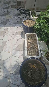 ٤ سندانات • مرجوحه