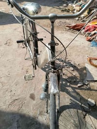 باسكل ياباني • أصلي • سعر مناسب