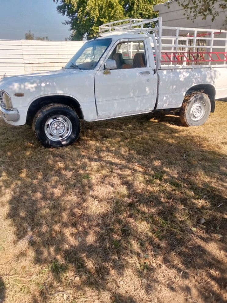 سلام عليكم شباب عندي بيكم 80 امعمره كير اكسن محرك خير من الله مكاني تاجي منشئت نصر.تحويل مباشر والسنويه ل2026/ ***********  واتساب *********** واتساب
