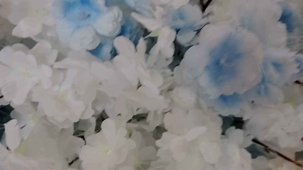 ورد جديد غير مستعمل
مترين سمائي

مترين وربع احمر وابيض

٥ اغصان مع الاستاند وردي

مكاني بغداد


**إذا كنت صاحب هذا الإعلان وتريد حذفه لأي سبب، رجاءا أرسل رسالة إلى الدعم الفني**