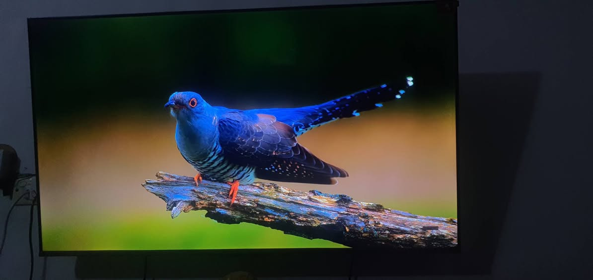 📺 للبيع شاشة TCL حجم 50 إنش بحالة ممتازة جداً
شاشة TCL موديل 50C645 بحالة شبه جديدة، استخدام قليل جداً وما زالت نظيفة وعليها اللواصق.

✨ المواصفات:
• الموديل: TCL 50C645
• الحجم: 50 إنش
• دقة العرض: 4K Ultra HD
• نوع الشاشة: QLED
• نظام تشغيل ذكي (Smart TV)
• تدعم الإنترنت والتطبيقات مثل يوتيوب ونتفلكس
• صورة واضحة وألوان قوية مناسبة للأفلام والمباريات والألعاب
• مناسبة للـ PlayStation و Xbox

📋 المعلومات المكتوبة على الكرتون:
• Voltage: 100-240V ~ 50/60Hz
• Weight Net/Gross: 8.9 / 12.7 KG
• Dimensions: 1265 × 130 × 775 MM
• Made in China

📦 الشاشة نظيفة جداً واستخدامها قليل.

💰 السعر: 500 ألف دينار
وقابل للتفاوض البسيط للجادين.

📩 للتواصل خاص.


**إذا كنت صاحب هذا الإعلان وتريد حذفه لأي سبب، رجاءا أرسل رسالة إلى الدعم الفني**