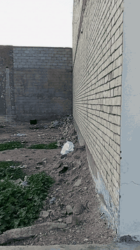 سلام عليكم قطعت أرض البيع مساحة 120 و فوك واجهيه 8 نزال 16 بغداد جسر ديالى القديم قرب شارع سواعد س قرب شارع شارع بيت زبون تواصل عله رقم ***********
