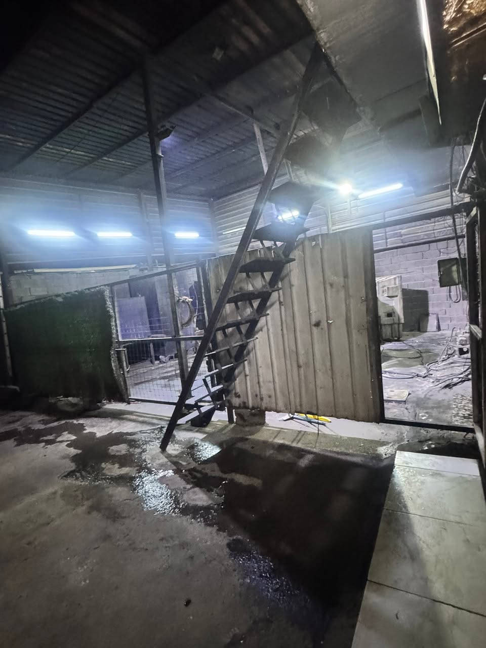 سلام عليكم موقع للبيع حمل 700 اكثر قابل للزياده 
بي مكاين ثنين كمنز 24 راس توليد 250 
حصه بي 200 كي 
بي ارض مع موالدات تنباع 350 او اكثر 
مكاني بغداد المشتل يم مجلس بلدي 
*********** 
***********
