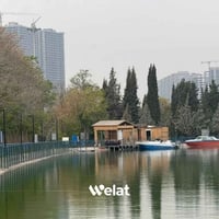 شركة النوارس • نقل مسافرين • سيارات مكيفة واي فاي