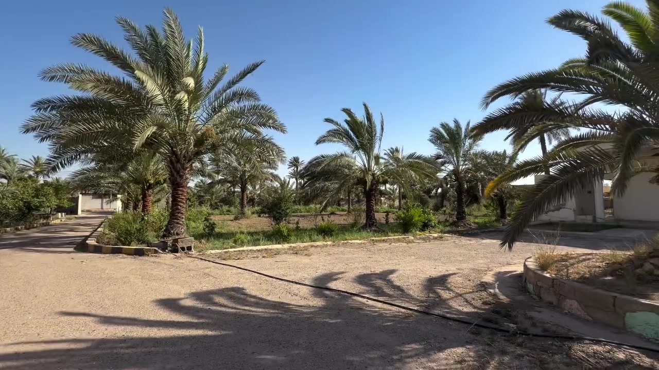 مزرعة 3 دونم للايجار مع بيت يتكون من صاله و3 غرفه نوم وصحيات داخليه وخارجيه وحدائق عدد 2 وايضا يحتوي على حقل دواجن في حال اراد المستأجر ان يشغله العنوان الدوره هور رجب قرب بيت صوال للاستفسار ***********
