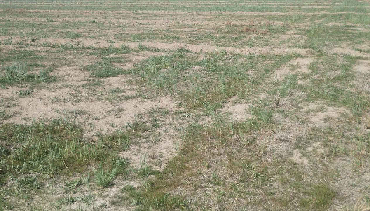 السلام عليكم
ارض زراعية للبيع 
المساحة 140 دونم 
المكان واسط الزبيديه 
قانون ٣٥ 
ماء سكي متوفر 
ماطور كهرباء ٥٠ حصان 
كهرباء متوفره 
ماء اساله متوفر 
***********
