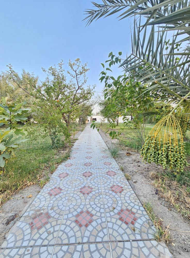 🏖 شاليه للبيع على شط العرب مباشرة
📍 الموقع: البصرة / أبي الخصيب
📐 المساحة: 2000 متر مربع
📄 الملكية: طابو صرف (سهم)
🔄 التحويل: مباشر باسم المشتري
🏡 المواصفات: ▪️ يحتوي على دار بناء طابقين 
▪️ إطلالة مباشرة وجميلة على شط العرب
▪️ موقع هادئ ومميز
▪️ مناسب للاستثمار أو الاستجمام العائلي
📞 للاستفسار والاتصال:
*********** البصرة, العراق
