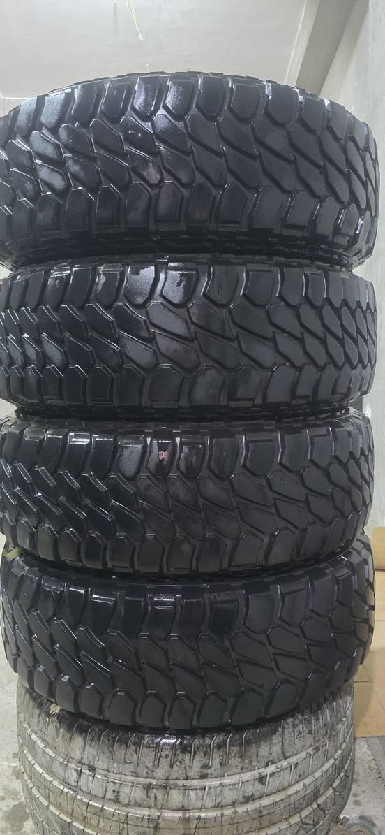 موجود طقم بور باي فور كروست
صناعه بريل روماني  🦂IRELLI🦂
مقاس الطقم. .........   ]17/70/285[
طقم خشن وبقاب بور باي فون
للتواصل فون وتس
📲01080315510📞


**إذا كنت صاحب هذا الإعلان وتريد حذفه لأي سبب، رجاءا أرسل رسالة إلى الدعم الفني**