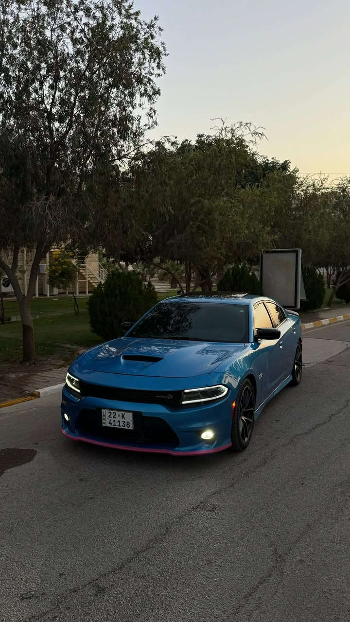 الوحش للبيع  ♥️
دوج جارجر سكات باك . Scat Pack . 
الموديل 2018 . (خليجي ) . وكالة هارلم. 
المحرك : SRT . V8 . 6.4L .
العداد : 66.000 km  
بيهه باب خلفي وجاملغ خلفي  صبغ وبيهه بارد 4 اصابع بل بنيد 
. المواصفات 
* مكابح رياضية (برمبو) . 
* لايت LED . 
* فتحت سقف (سلايد) . 
* كاميرا خلفية . 
* امكانية التحكم بوضعيات المقود كهربائيا . 
* كزوز سستم . 
* حساسات خلفية . 
* ويل قياس 20 أنج 
* سستم صوت ALPINE . 
* تشغيل عن بعد . 
* مقاعد رياضية من الجلد الفاخر . 
* ذاكرة لحفظ وضعيات الجلوس (ميموري) . 
* المقاعد الأمامية تبريد وتدفئة . 
* المقاعد الخلفية تدفئة . 
* نظام خرائط GPS . 
* شاشة كبيرة قياس 8.4 أنج اوپشنات SRT 
* تدفئة ستيرن . 
* كير شفتر بالستيرن . 
* جناح خلفي . 
* بلوتوث تلفون . 
* محدد سرعة . 
سعر 245 وبيهه مجال 
رقم اربيل تحويل ثاني  وهذا  رقمي  ***********، واتمنى الميعرف بسعرها يترك كلمة طيبه
