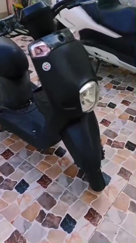 السلام عليكم اخوتي الطيبين
دراجة بوليس اسود طافي بلادي مو تغليف 😉🤙

الدراجة خير من الله كلشي بيها شغال وكفالة عامة شرط عالفحص 

الراغب بالشراء يتواصل وياي جيب ١٥ فيتر وتعال افحص 

وآسف عالاطالة ❤️


**إذا كنت صاحب هذا الإعلان وتريد حذفه لأي سبب، رجاءا أرسل رسالة إلى الدعم الفني**