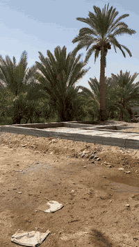 كوفه • ٣ دونم • طابو زراعي