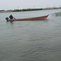 بلم • تزكام • قطع