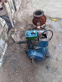 ماطور • دويز خنزير • قابل تفاوض