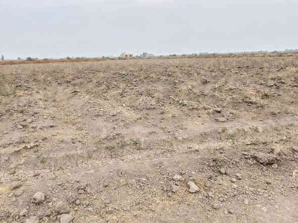 للبيع 5دونم طابوزراعي سند 25 مداور بسم المشتري الديوانية السنيه قرب سيد جراس تبعد عن الشارع العام 2كيلو ارض حلوه وصالحه للزراعه للستفسار تعال خاص اواتصل ***********واتساب
***********
