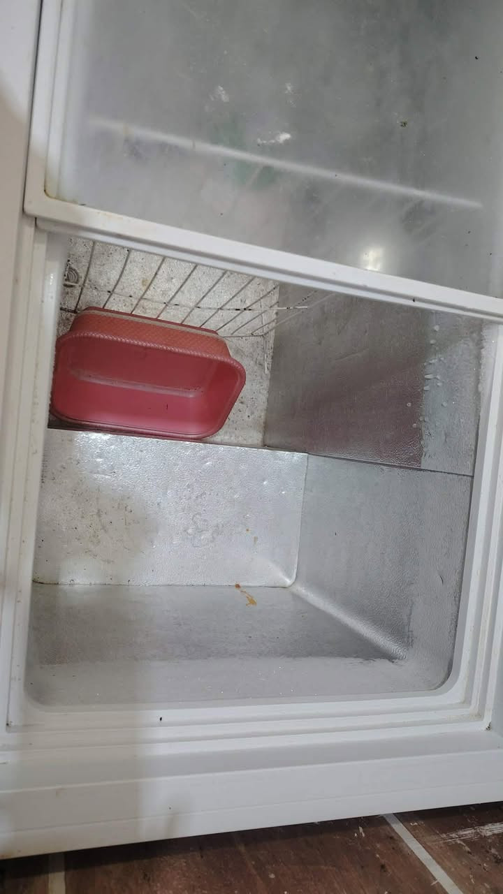 يا الله مكلفة بلنشر
مجمدة نوعية الحافظ حجم وسط
 تجميد فول نظيفةجدا ماداخلة تصليح
السعر ٢٥٠ بيها مجال
العنوان حي الجهاد قرب عمارة ابو سعدون

الرقم 📞 ***********
