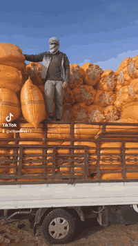 تبن ابيض نضيف • توصيل مجاني • بغداد ديالى