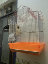 متاح • ديكور • منزلي