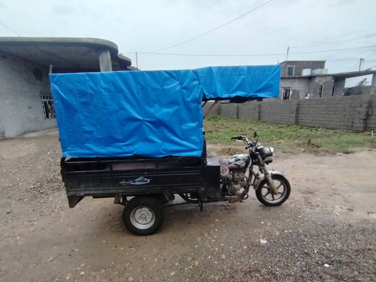 السلام عليكم
ستوتة للبيع مكفولة من كل شي كهربائيات شرط نكرة سلف
ركبة و شاصي شرط
تايرات جدد كلهن
للاستفسار اتصل
***********
