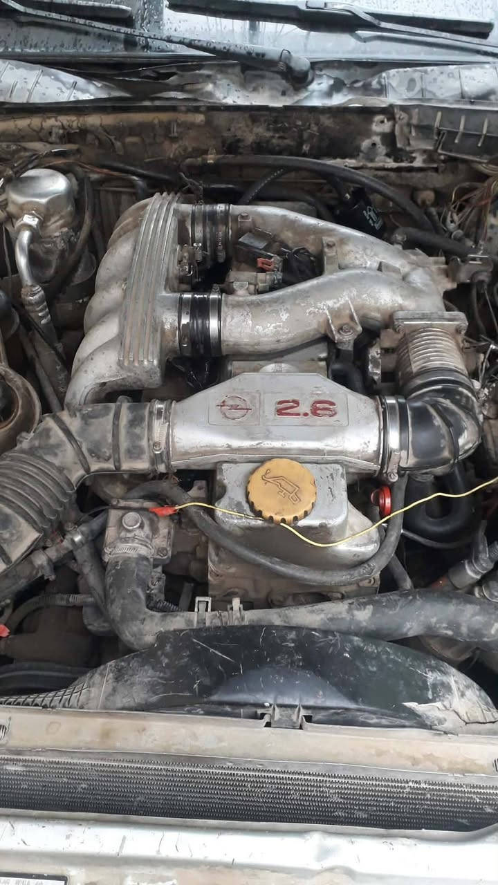 للبيع مابيها كشي  تواصل ع رقم *********** سعر ٢٠بيها مجال
