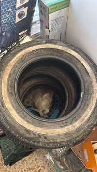 تخم تاير خط ابيض نضيف 07719355310